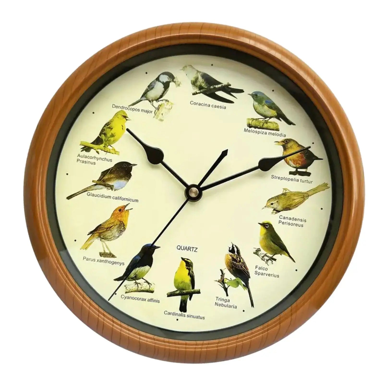 Singing Bird Wall Clock Wall Hanging Clock Decor for Living Room Home Office